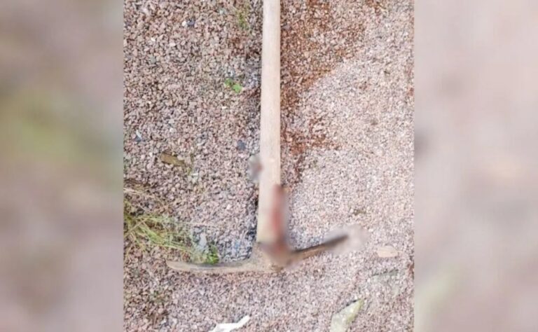 Idoso de 65 anos encontrado morto em Araucária