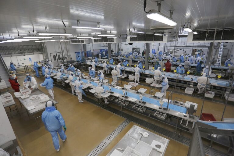 Vagas de emprego: Paraná disponibiliza 26,4 mil oportunidades em agências do trabalhador