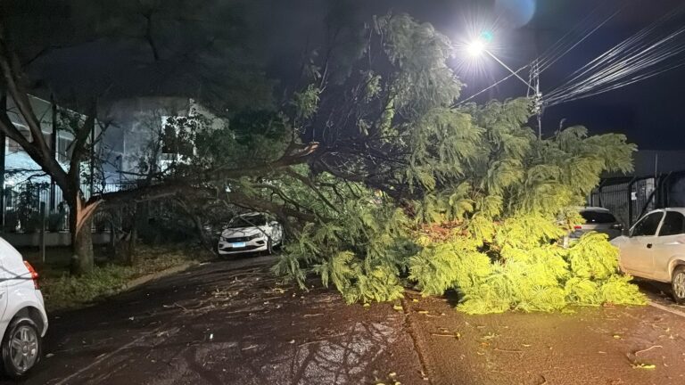 Temporal causa estragos em Cascavel