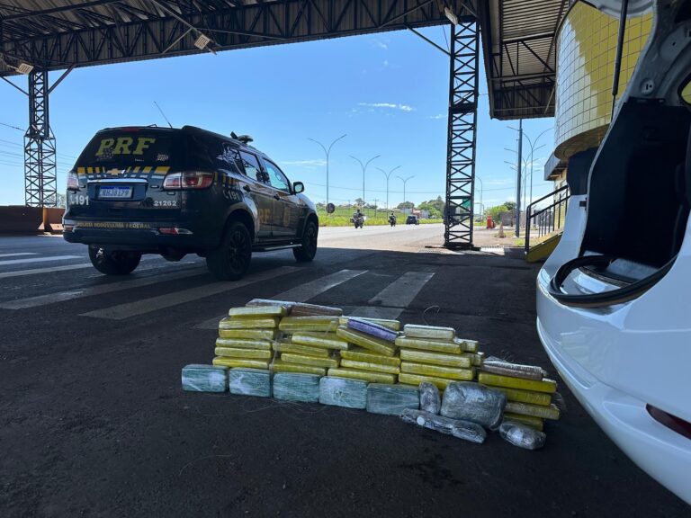 PRF realiza apreensão de drogas e anabolizantes em Mandaguari
