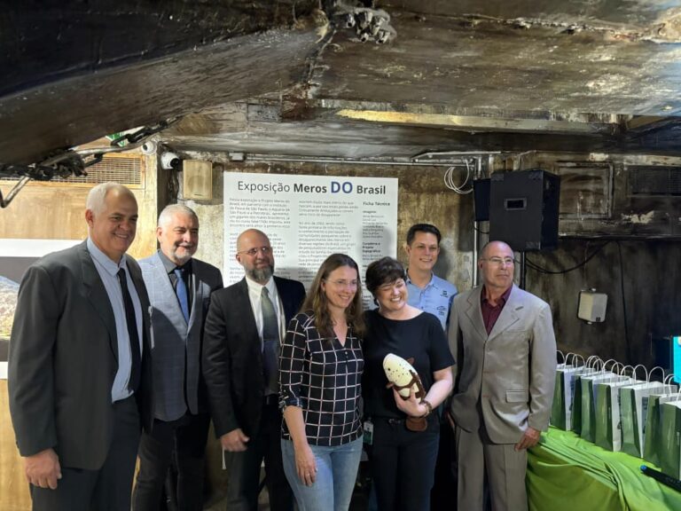 Instituto Butantan e Projeto Meros iniciam pesquisas sobre o peixe mero