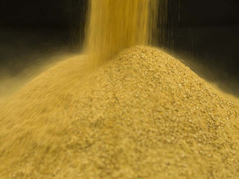 Brasil registra recorde na exportação de farelo de soja em 2023