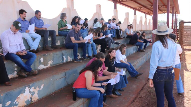 Canchim destaca-se com recorde de registros e avanços em prova de desempenho