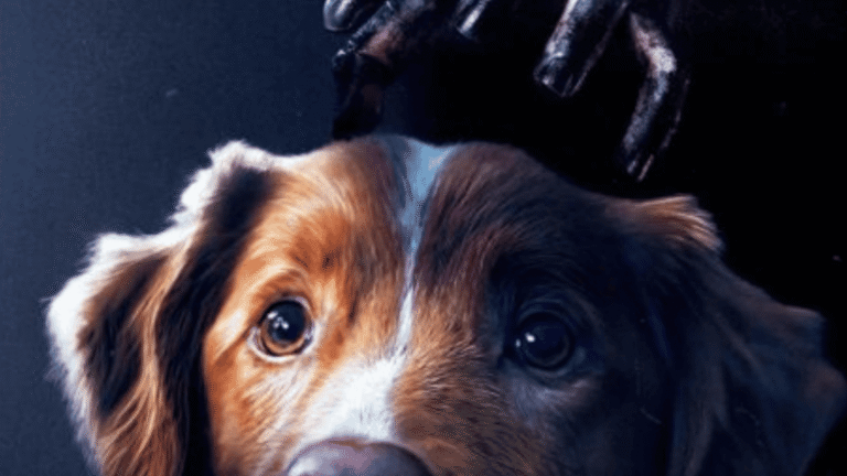 Final de Bom Menino explicado: o que acontece com Indy e Todd?