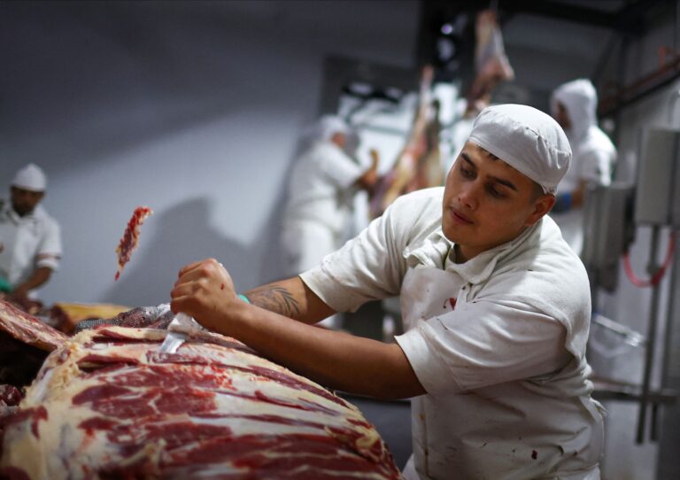 Crescimento do setor de carne bovina no Brasil em 2025