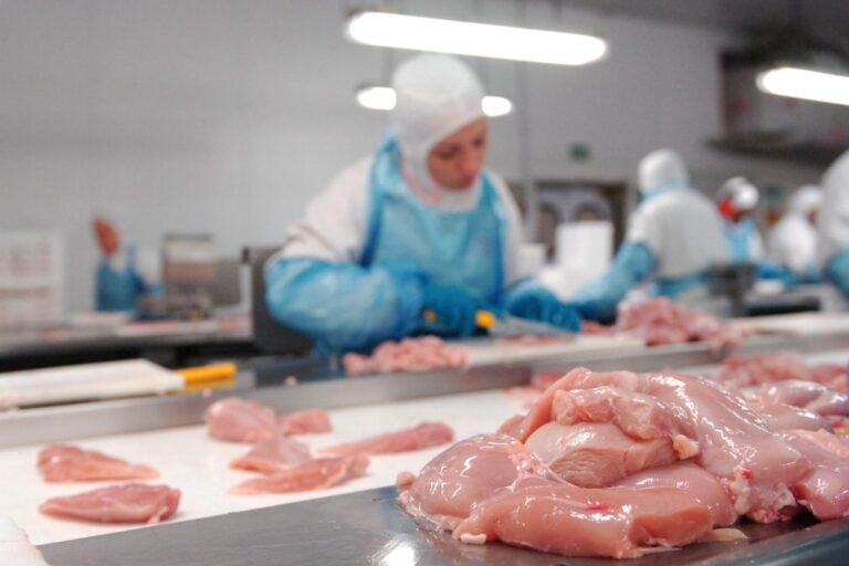 Exportação de frango atinge segundo maior volume histórico em outubro