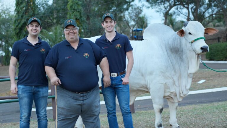 Curso de morfologia do Nelore ensina a escolher os melhores animais