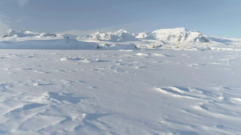 Descobertas surpreendentes sob o gelo da Antártida