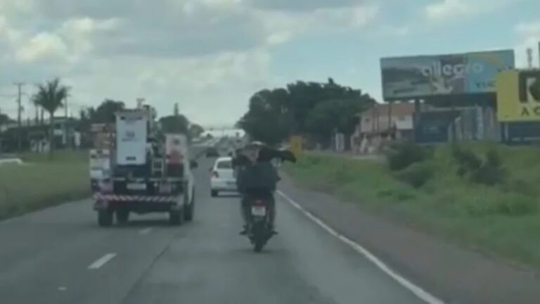 Cabrito é flagrado sendo transportado em baú de motocicleta na BR-376