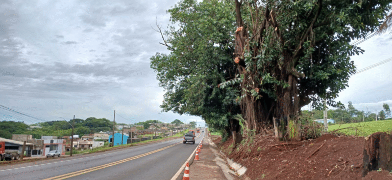 Operação Pare e Siga na BR-163 em Lindoeste para poda de árvores