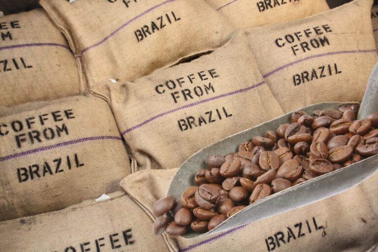 Café brasileiro: exportações caem 20% em volume, mas receita aumenta