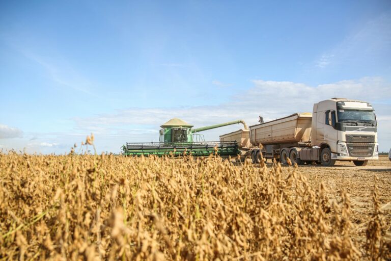 Joint ventures no agronegócio: uma alternativa estratégica