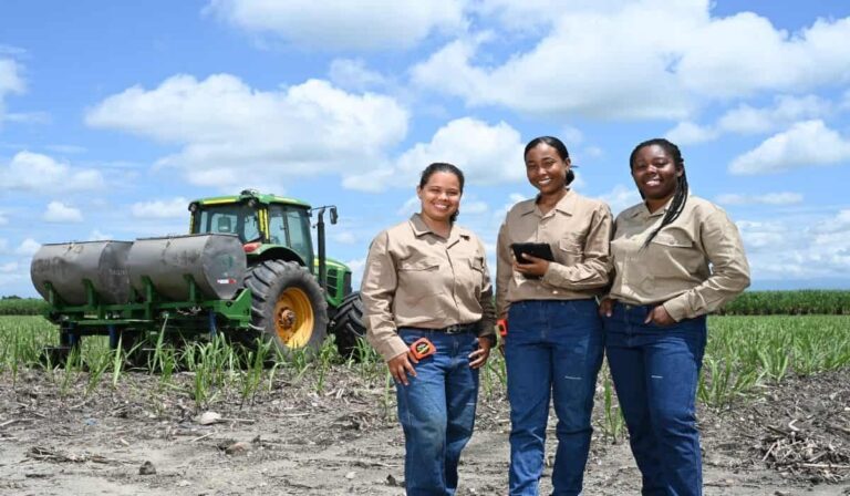 Incauca: maior usina de cana da Colômbia fatura R$ 1,5 bilhão e busca substituir petróleo