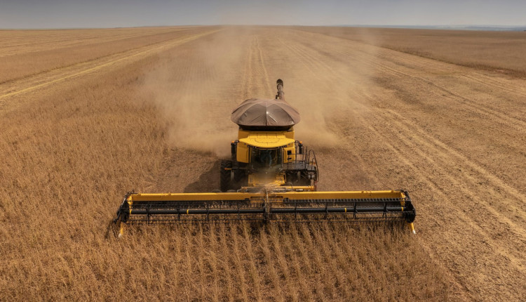 Valorização das terras rurais no Brasil