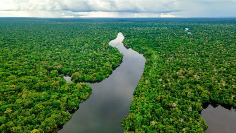 Lições de sustentabilidade na Amazônia antigas