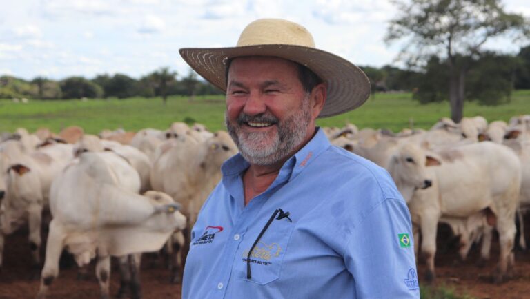 Nelore Cometa realiza 32º leilão com 150 touros P.O. em dezembro