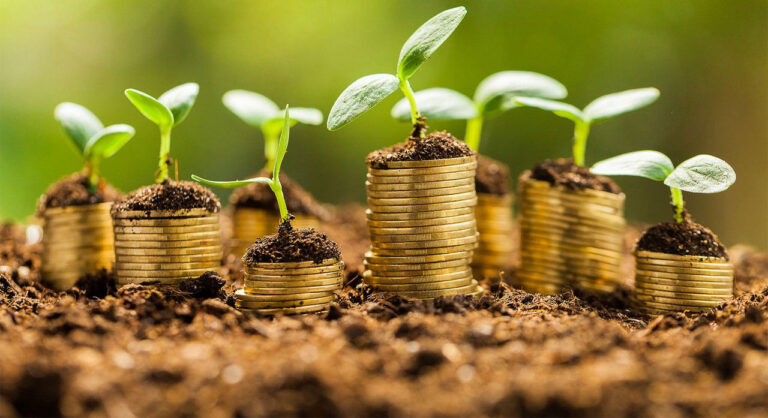 Produtores rurais precisam atentar à documentação de perdas para renegociar financiamentos