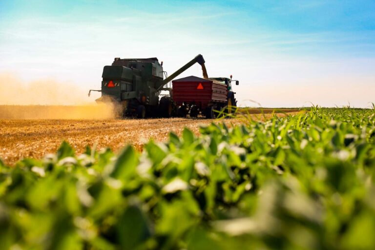 Comprar ou alugar máquinas: o que compensa mais na mecanização da fazenda?