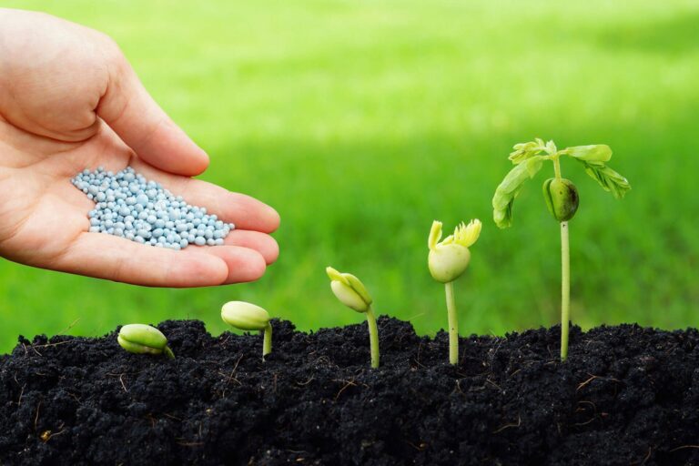 Alta nos preços de amônia e enxofre impacta mercado de fertilizantes