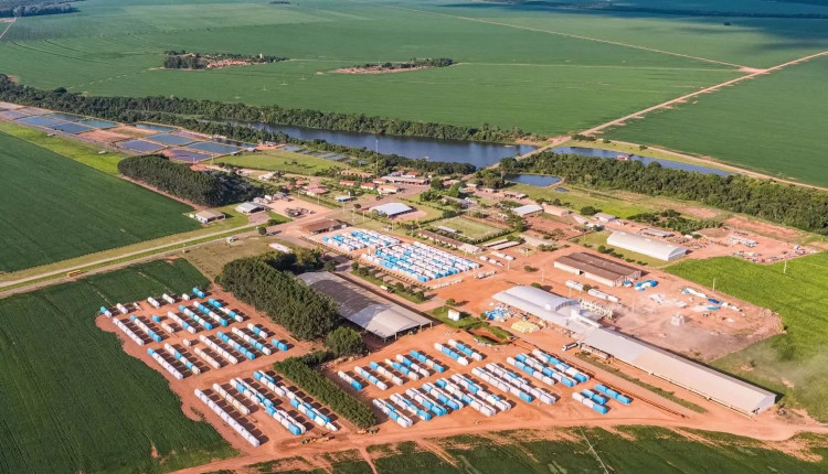 Golpe milionário no agronegócio resulta em prisões de funcionário e empresário