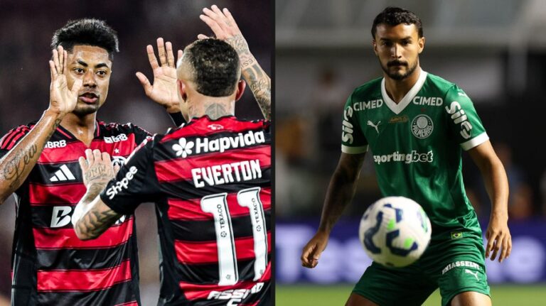 Decisão no Brasileirão: Flamengo e Palmeiras em busca do título