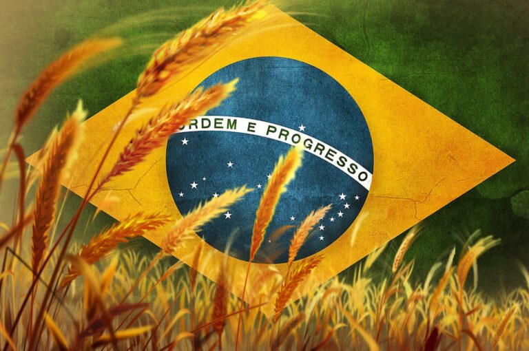 Dia do trigo: conheça a importância desse grão na alimentação