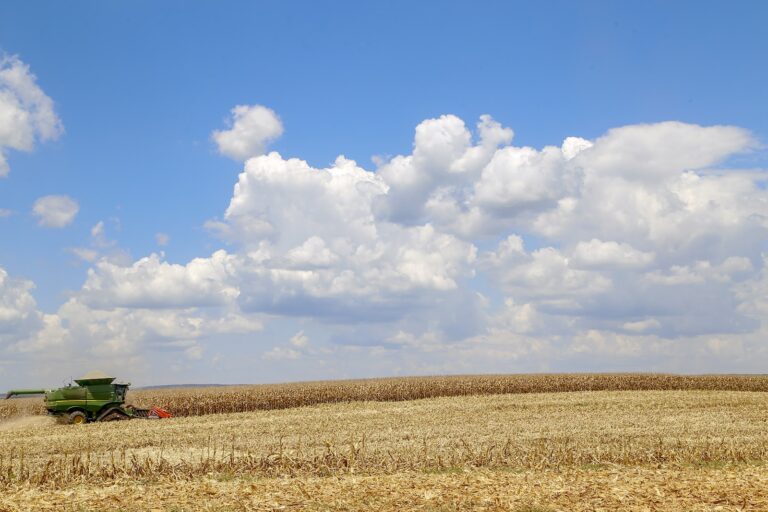 Paraná apresenta crescimento econômico superior à média nacional em 2023