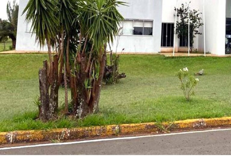 Universidade do Paraná abre concurso com salário de R$ 7,6 mil