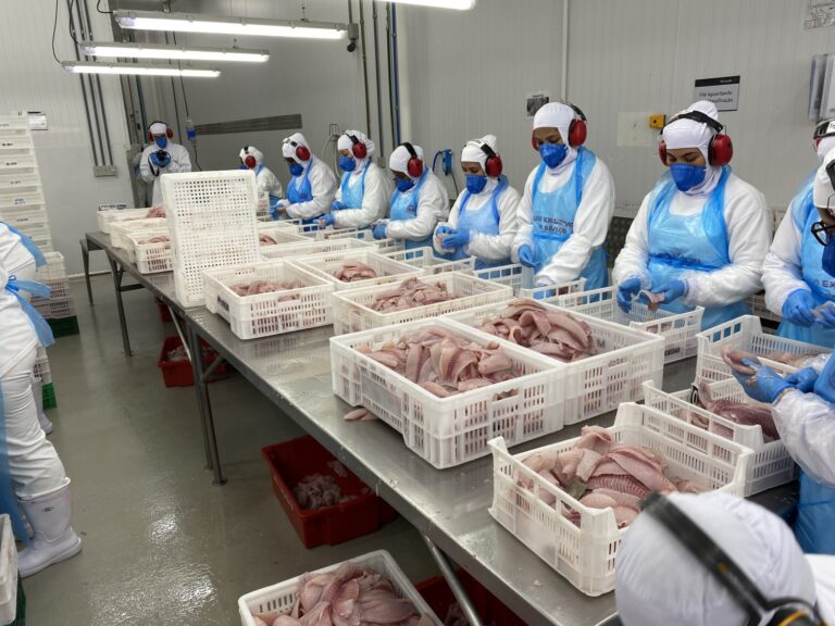 Auditoria da UE pode reabrir mercado para pescados brasileiros em 2026
