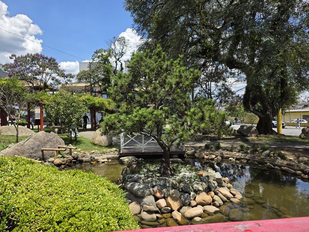 Celular com 200 MP: vale a pena investir nessa tecnologia?