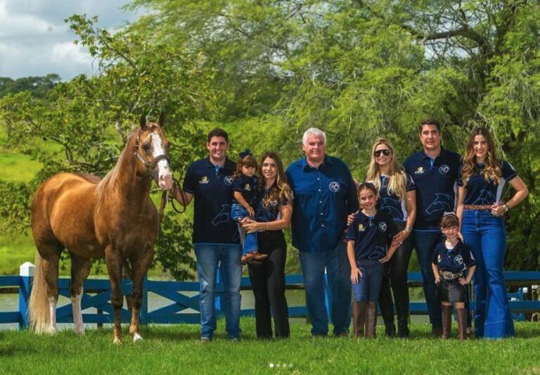Haras PFF promove 1º leilão no caminhão com destaques da raça Quarto de Milha
