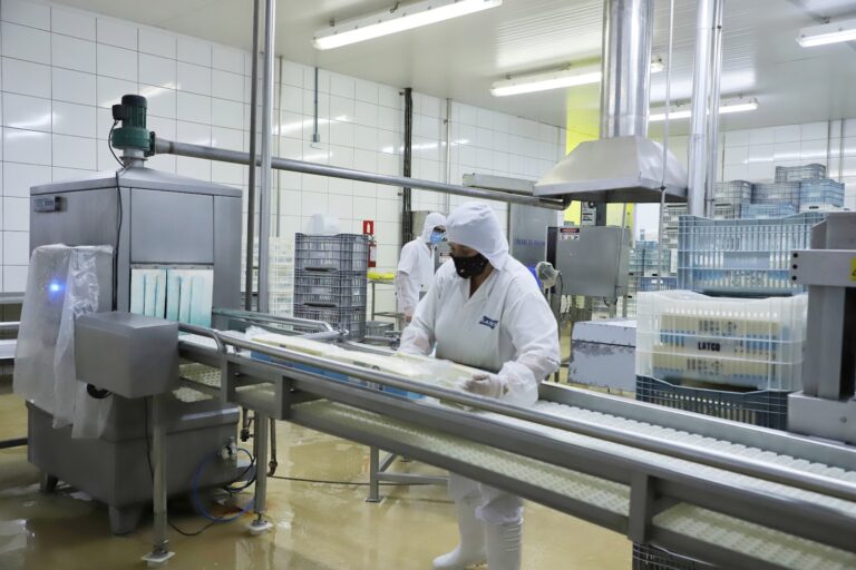 Taxa de desemprego no Paraná atinge 3,5%, a menor para um terceiro trimestre