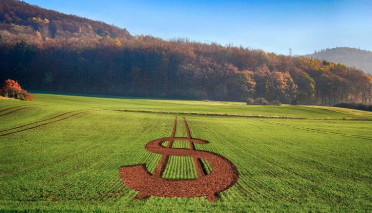 CVM esclarece normas da Resolução 175 para FIDCs, FIIs e Fiagros