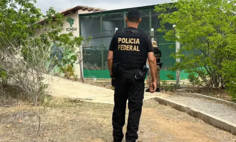 Polícia Federal investiga surto de vírus letal que afeta ararinhas-azuis