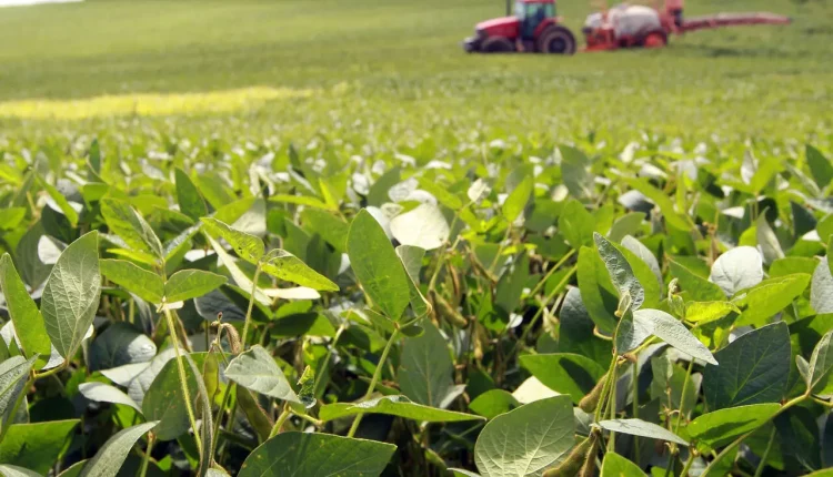 Plantio de soja no Brasil alcança 71% em meio a chuvas irregulares