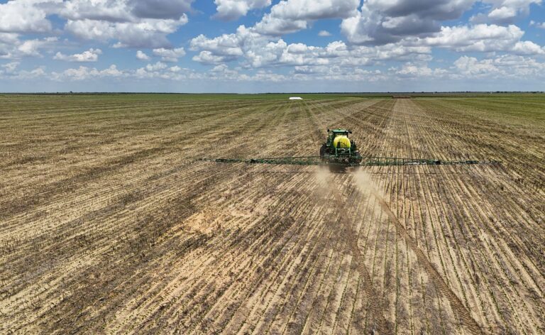 Excesso de soja na China pode prejudicar exportações dos EUA