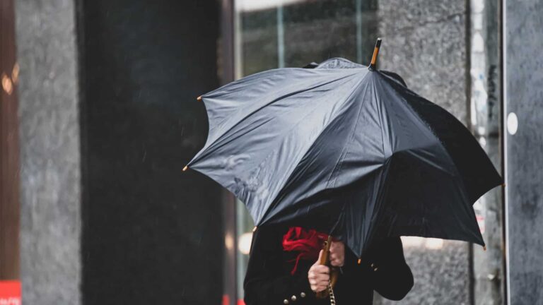 Defesa Civil de SP emite alerta severo de chuva e ventos fortes