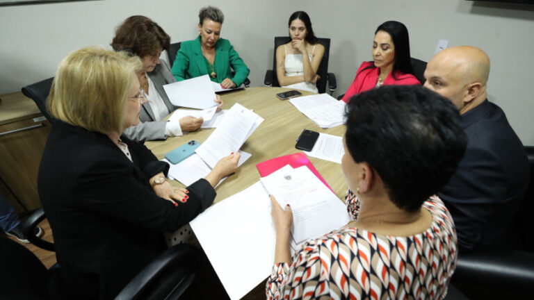 Comissão aprova dois projetos sobre direitos das mulheres