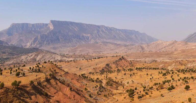 Estudo revela relação entre clima e origem da agricultura