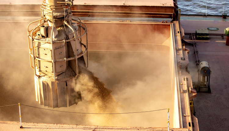 Anec revisa para baixo exportação de soja em novembro para 4,4 milhões de toneladas