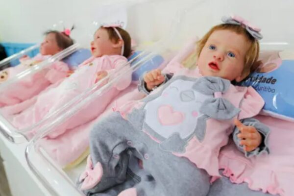 Bebê Reborn virou febre imbecil do momento (Divulgação)