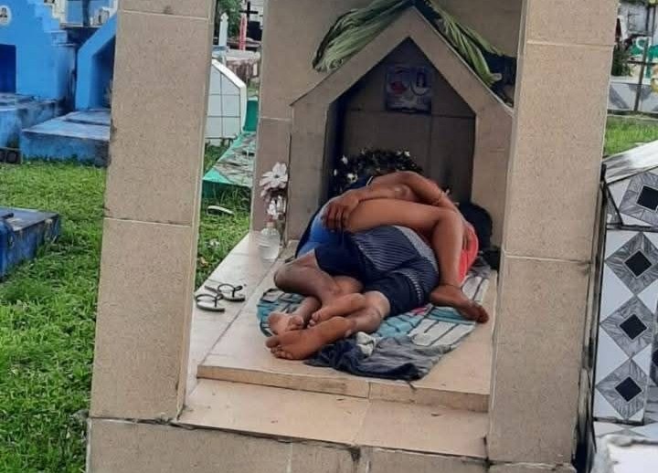 Cena bizarra foi flagrada por um morador (Divulgação)