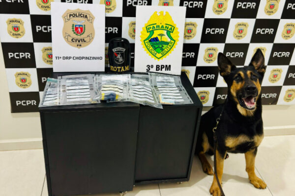 PCPR e PMPR prendem homem em flagrante por tráfico de drogas em Chopinzinho