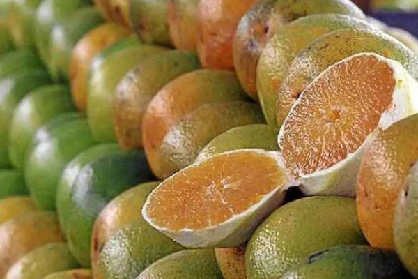 Exceções do tarifaço representam 43,4% do valor exportado aos EUA
