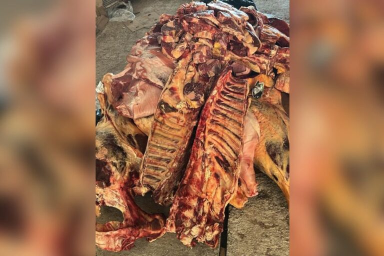 Alimentos vencidos: 4,6 toneladas apreendidas no Rio Grande do Sul