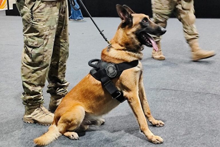 Segurança reforçada na COP30: PF realiza varredura antibomba