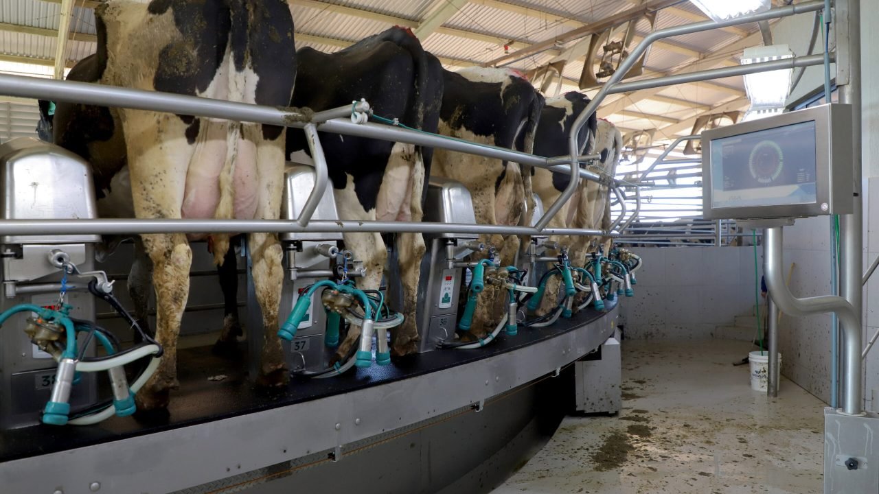 Foto: Governo do Paraná