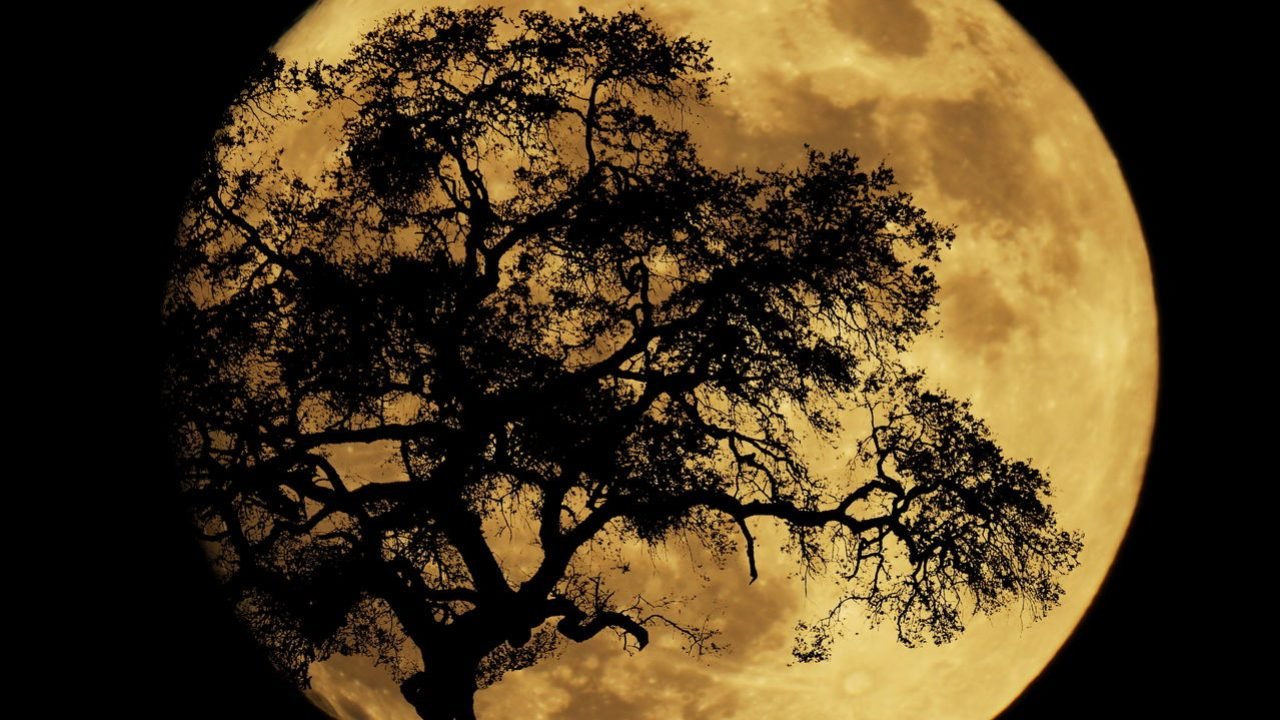 Primeira Superlua de 2026 pode ser vista neste sábado