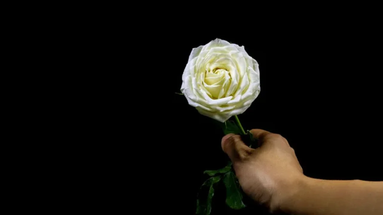 0844861666d7171257c75c5237c93cddc4cf6544