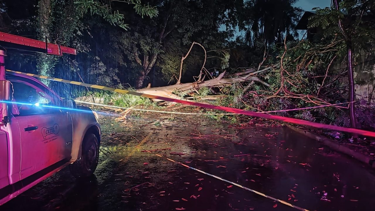 Foto: Foto: Divulgação